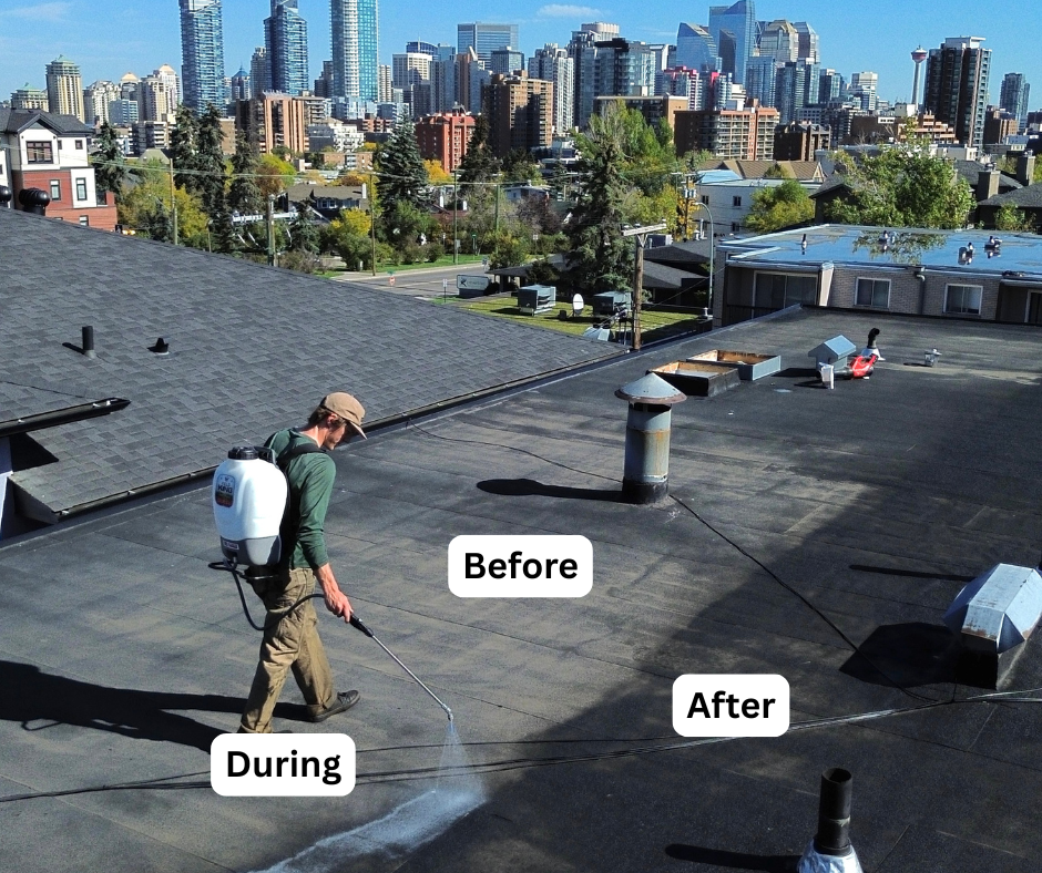 Technician spraying rejuvenation treatment on a low-slope roof section