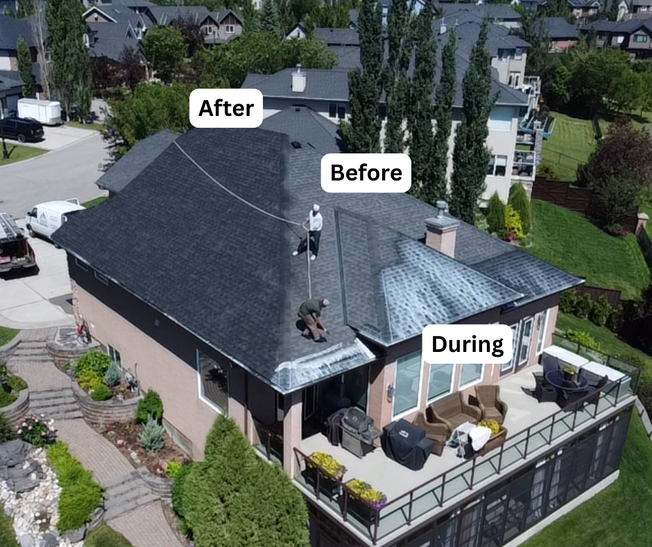 Aerial view of a home mid-treatment showing untreated, in-progress, and rejuvenated roof sections
